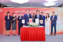 MSB đạt chứng nhận ACCA Approved Employer: Khẳng định cam kết phát triển nhân sự bền vững