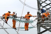 Hoàn thành thay thế cách điện đường dây 220kV mạch kép Thái Bình – Tiền Hải – Trực Ninh