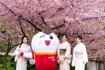 Cùng Vietjet hòa mình vào sắc màu văn hóa Việt Nam tại Nagoya (Nhật Bản)
