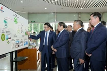 Đảng ủy Petrovietnam: Không để lỡ "chuyến tàu" chuyển đổi số và đổi mới sáng tạo