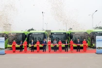 Liên Ninh chuyển đổi 100% sang xe buýt điện VinFast