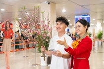 Vietjet nhận vận chuyển mai, đào Tết Nguyên đán 2026 từ 15/1