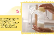 Lactoferrin và bước tiến mới trong dinh dưỡng đề kháng