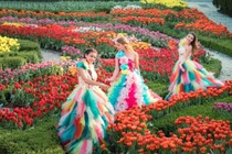 Hàng nghìn du khách đón Tết Bính Ngọ cùng hơn triệu bông tulip tại Sun World Ba Na Hills