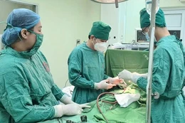 Đề xuất phương án sắp xếp đơn vị sự nghiệp công lập ngành Y tế
