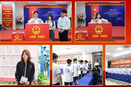 Sinh viên trường đại học ở Hà Nội lần đầu đi bỏ phiếu bầu cử, gửi gắm nhiều kỳ vọng