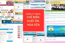 Công ty TNHH Chế biến Xuất ăn Hoa Sữa cung cấp suất ăn bán trú, trường công khai thực đơn ra sao? 
