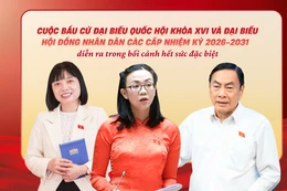 Bầu cử Quốc hội và HĐND: Đại biểu cần hội đủ yếu tố bản lĩnh, trách nhiệm và gắn bó