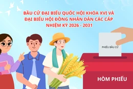 Chính phủ báo cáo về công tác chuẩn bị bầu cử ĐBQH khóa XVI và đại biểu HĐND các cấp