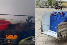 Hà Nội: Phát hiện nhiều vi phạm của Công ty Nhật Anh trong cung cấp suất ăn bán trú cho trường học