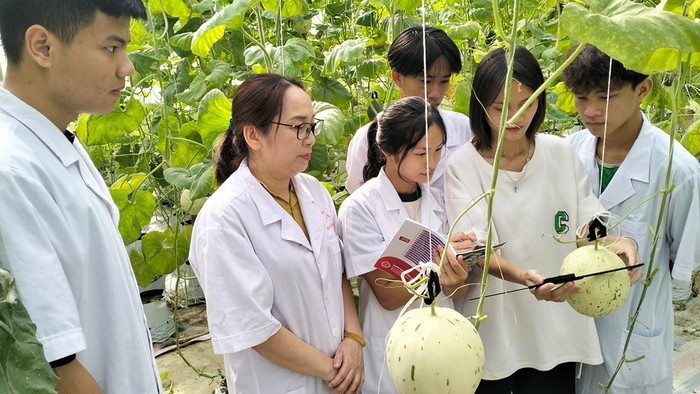 moi-truong-hoc-tap-nganh-nong-nghiep-cong-nghe-cao-tai-dai-hoc-nghe-an20-5-25-23-29.jpg