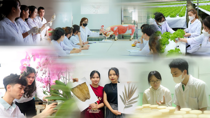 Phương pháp học qua dự án dành cho sinh viên khối ngành Khoa học sự sống, Trường Đại học Đông Á. Ảnh: NTCC. khoikhss-anh1.png
