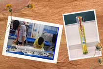 Mô hình máy lọc không khí từ tảo lục Chlorella của thầy và trò THCS Nguyễn Bỉnh Khiêm, TP HCM