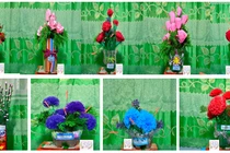 Cô giáo mầm non phát triển mô hình “Vì môi trường xanh” để tái chế rác thải 