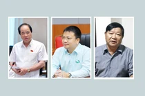 Trường chuyên nên chuyển từ chuyên một môn sang đào tạo liên ngành