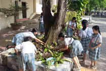 Mỗi lớp sẽ luân phiên quét dọn, lượm rác trên sân trường vào mỗi chiều thứ sáu.