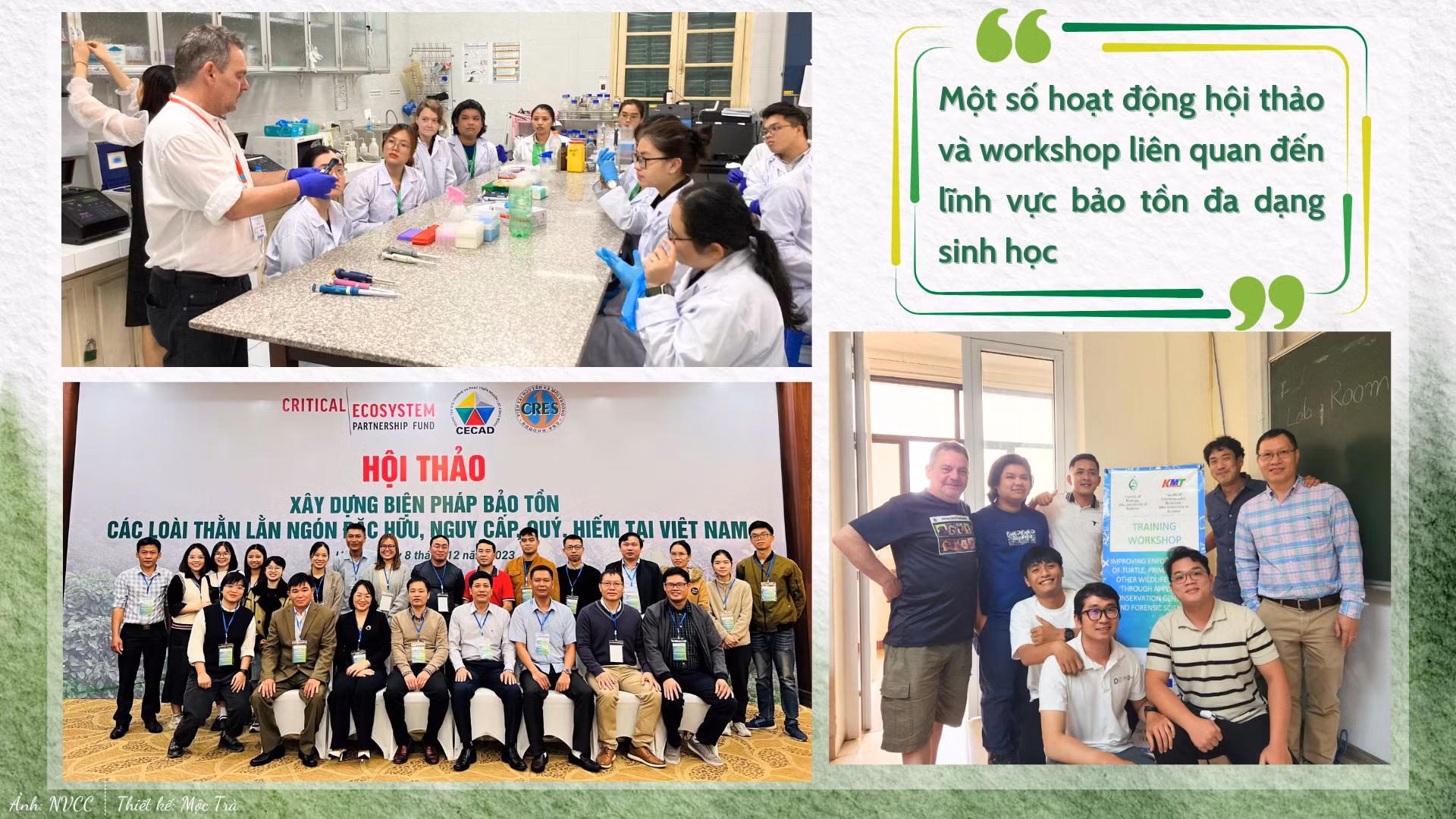 GDVN_hội thảo.png