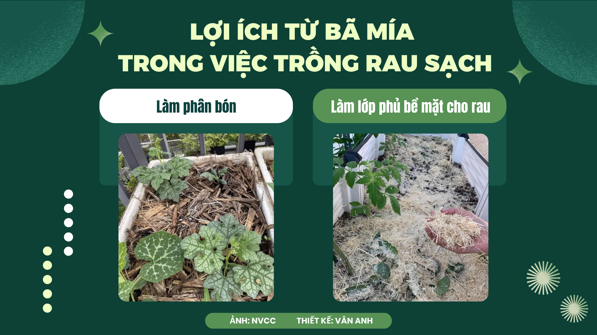 ảnh 1.png