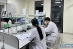 Bổ nhiệm hiệu trưởng theo nhiệm kỳ HĐT, khi bỏ HĐT thì nhiệm kỳ hiệu trưởng cũng hết hiệu lực