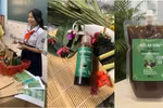 Từ ý tưởng ở lớp học STEM, học sinh TP.HCM làm dầu gội dược liệu thân thiện với môi trường