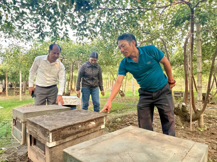 Hội Nông dân phường Nam Đồ Sơn thăm mô hình nuôi ong hoa táo của gia đình ông Nguyễn Khắc Tuân. Ảnh: D.A