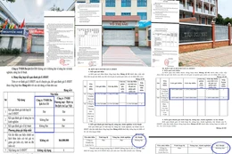 Công ty An Lạc Việt và những gói thầu tiền tỷ tổ chức trải nghiệm ngoại khóa cho học sinh TPHCM