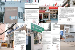 Giá trúng thầu tổ chức trải nghiệm ngoại khóa cho nhiều trường ở Hà Nội của Công ty Đại Việt ra sao?