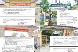 ODC Academy được nhiều trường lựa chọn liên kết dạy tiếng Anh theo hình thức chỉ định thầu rút gọn