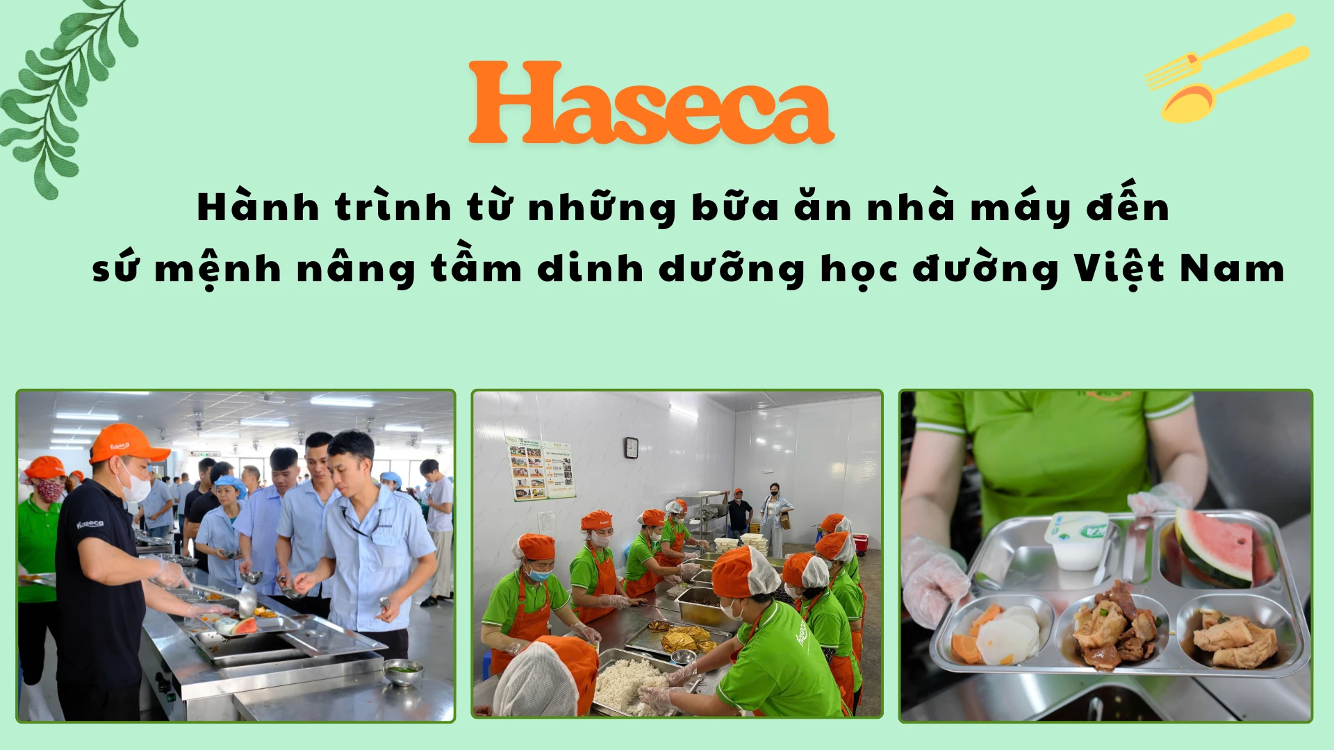 Haseca: Hành trình từ những bữa ăn nhà máy đến sứ mệnh nâng tầm dinh dưỡng học đường Việt Nam