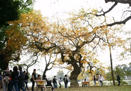 Khu vực Hà Nội không mưa, trời nắng, nhiệt độ cao nhất 29 độ C.