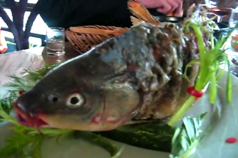 Phần đầu cá còn tươi nguyên. Hình ảnh này đã nhận được sự phản đối của rất đông các thành viên mạng chia sẻ xã hội Youtube. (Ảnh cắt từ video)