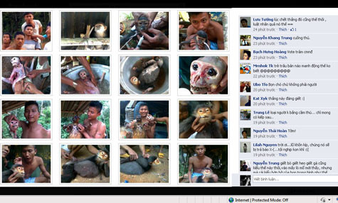 Những hình ảnh về việc giết hại hai con voọc chà vá chân xám được chia sẻ khắp các diễn đàn và hàng ngàn người bình luận lên án hành vi của Quang. (ảnh chụp lại màn hình. Những hình ảnh về việc giết hại hai con voọc chà vá chân xám được chia sẻ khắp các diễn đàn và hàng ngàn người bình luận lên án hành vi của Quang. (ảnh chụp lại màn hình.