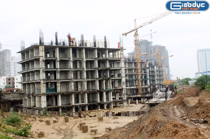 Các tòa nhà theo thiết kế đang ngày đêm phơi sương gió, mưa nắng. Cả chục tấn sắt thép đang mỗi ngày một hoen rỉ.