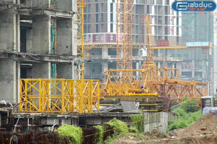 Cỏ hoang mọc đầy, sắt thép hoen rỉ.