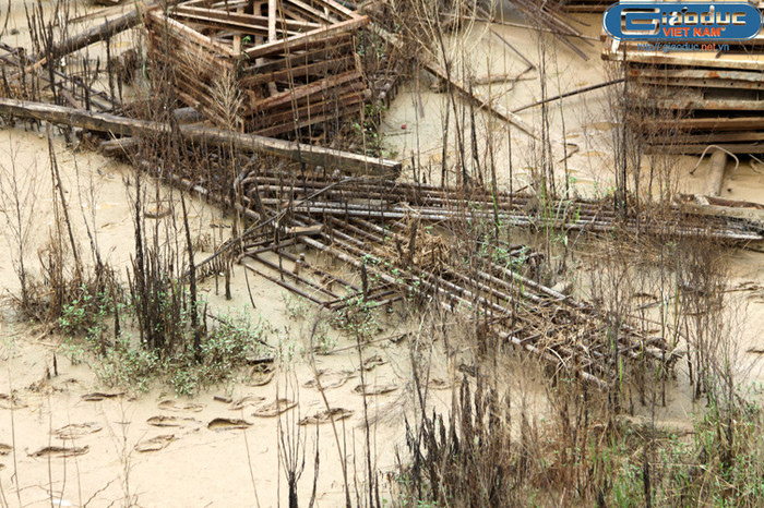 Cỏ dại mọc xen kín những khung sắt thép.