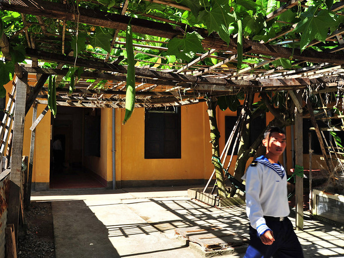 "Hương quê trên đảo" "Hương quê trên đảo"