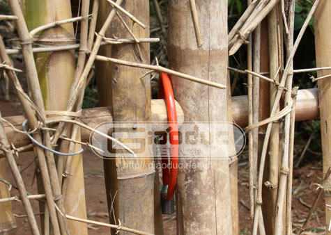 Chiếc khóa dây cũng mới được mua về và luôn khóa chặt hai cánh cổng. Chiếc khóa dây cũng mới được mua về và luôn khóa chặt hai cánh cổng.