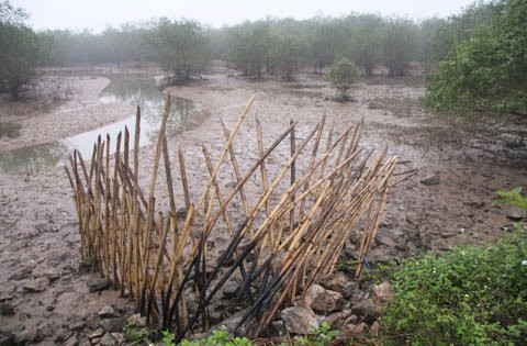 Vụ cưỡng chế đất ở Tiên Lãng gây hậu quả đặc biệt nghiêm trọng đã cho thấy công tác quản lý, giao đất ven biển còn nhiều tồn tại cần khắc phục.