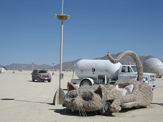 Catmobile mui trần