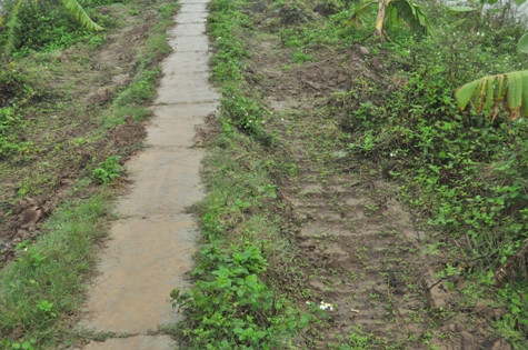 Theo lời khai ban đầu của lái xe cẩu, đoàn cưỡng chế đã thuê chiếc máy cẩu của Đỗ Văn Đoàn để hỗ trợ việc phá nhà anh Vươn.