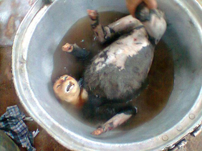 Bộ mặt con khỉ như đang gào khóc, oán hờn đám thanh niên vô nhân tính.