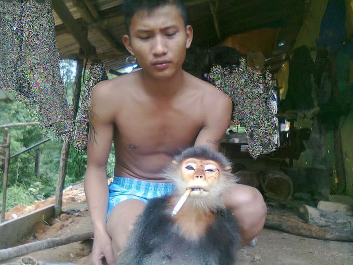 Khoe "chiến lợi phẩm" trước khi đem những con khỉ này nhúng nước sôi để làm lông.