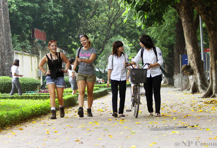 Khắp các tuyến phố như Trần Phú, Phan Đình Phùng, Hàng Khay, Đinh Tiên Hoàng... được trải một lớp thảm màu vàng ruộm. Khắp các tuyến phố như Trần Phú, Phan Đình Phùng, Hàng Khay, Đinh Tiên Hoàng... được trải một lớp thảm màu vàng ruộm.