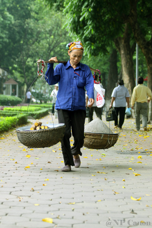 Lá vàng quấn theo chân gánh hàng rong. Lá vàng quấn theo chân gánh hàng rong.