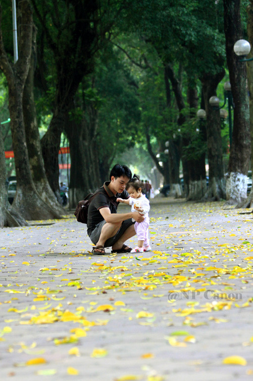 Những hình ảnh đặc trưng của mùa thu Hà Nội. Những hình ảnh đặc trưng của mùa thu Hà Nội.