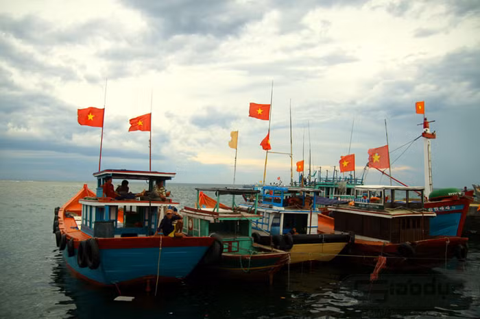 Những con thuyền neo đậu bến cảng đợi giờ "lướt sóng ra khơi xa đi tìm cho đầy luồng cá mới"...