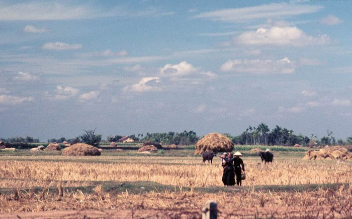 Cánh đồng sau vụ gặt ở Vĩnh Lộc. XEM THÊM =>> Hình ảnh Việt Nam CHÙM ẢNH: TRƯỜNG SA - MỘT PHẦN CỦA TỔ QUỐC CHÙM ẢNH: BỘ ẢNH CỰC HIẾM TOÀN CẢNH TRƯỜNG SA TỪ TRỰC THĂNG AI CHƯA ĐẾN TRƯỜNG SA, CẦN XEM 31 TẤM HÌNH NÀY CÔNG BỐ NHỮNG HÌNH ẢNH "KHÔNG THỂ KÌM NỔI" VỀ TRƯỜNG SA Cánh đồng sau vụ gặt ở Vĩnh Lộc. XEM THÊM =>> Hình ảnh Việt Nam CHÙM ẢNH: TRƯỜNG SA - MỘT PHẦN CỦA TỔ QUỐC CHÙM ẢNH: BỘ ẢNH CỰC HIẾM TOÀN CẢNH TRƯỜNG SA TỪ TRỰC THĂNG AI CHƯA ĐẾN TRƯỜNG SA, CẦN XEM 31 TẤM HÌNH NÀY CÔNG BỐ NHỮNG HÌNH ẢNH "KHÔNG THỂ KÌM NỔI" VỀ TRƯỜNG SA