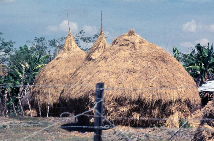 Những đụn rơm ở Vĩnh Lộc. XEM THÊM =>> Hình ảnh Việt Nam CHÙM ẢNH: TRƯỜNG SA - MỘT PHẦN CỦA TỔ QUỐC CHÙM ẢNH: BỘ ẢNH CỰC HIẾM TOÀN CẢNH TRƯỜNG SA TỪ TRỰC THĂNG AI CHƯA ĐẾN TRƯỜNG SA, CẦN XEM 31 TẤM HÌNH NÀY CÔNG BỐ NHỮNG HÌNH ẢNH "KHÔNG THỂ KÌM NỔI" VỀ TRƯỜNG SA Những đụn rơm ở Vĩnh Lộc. XEM THÊM =>> Hình ảnh Việt Nam CHÙM ẢNH: TRƯỜNG SA - MỘT PHẦN CỦA TỔ QUỐC CHÙM ẢNH: BỘ ẢNH CỰC HIẾM TOÀN CẢNH TRƯỜNG SA TỪ TRỰC THĂNG AI CHƯA ĐẾN TRƯỜNG SA, CẦN XEM 31 TẤM HÌNH NÀY CÔNG BỐ NHỮNG HÌNH ẢNH "KHÔNG THỂ KÌM NỔI" VỀ TRƯỜNG SA