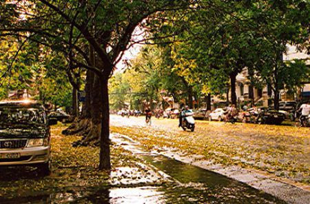 Hà Nội có mưa vào sáng sớm. (Ảnh minh họa) Hà Nội có mưa vào sáng sớm. (Ảnh minh họa)