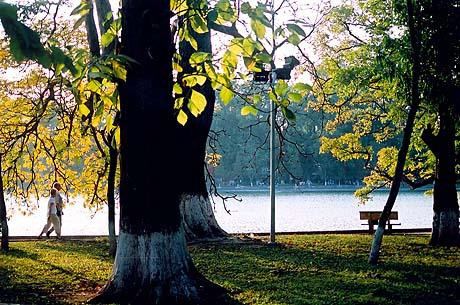 Ngày lễ tình nhân Valentine 14/2 khu vực Hà Nội và miền Bắc sẽ có mưa vài nơi, trời rét, trưa chiều giảm mây.